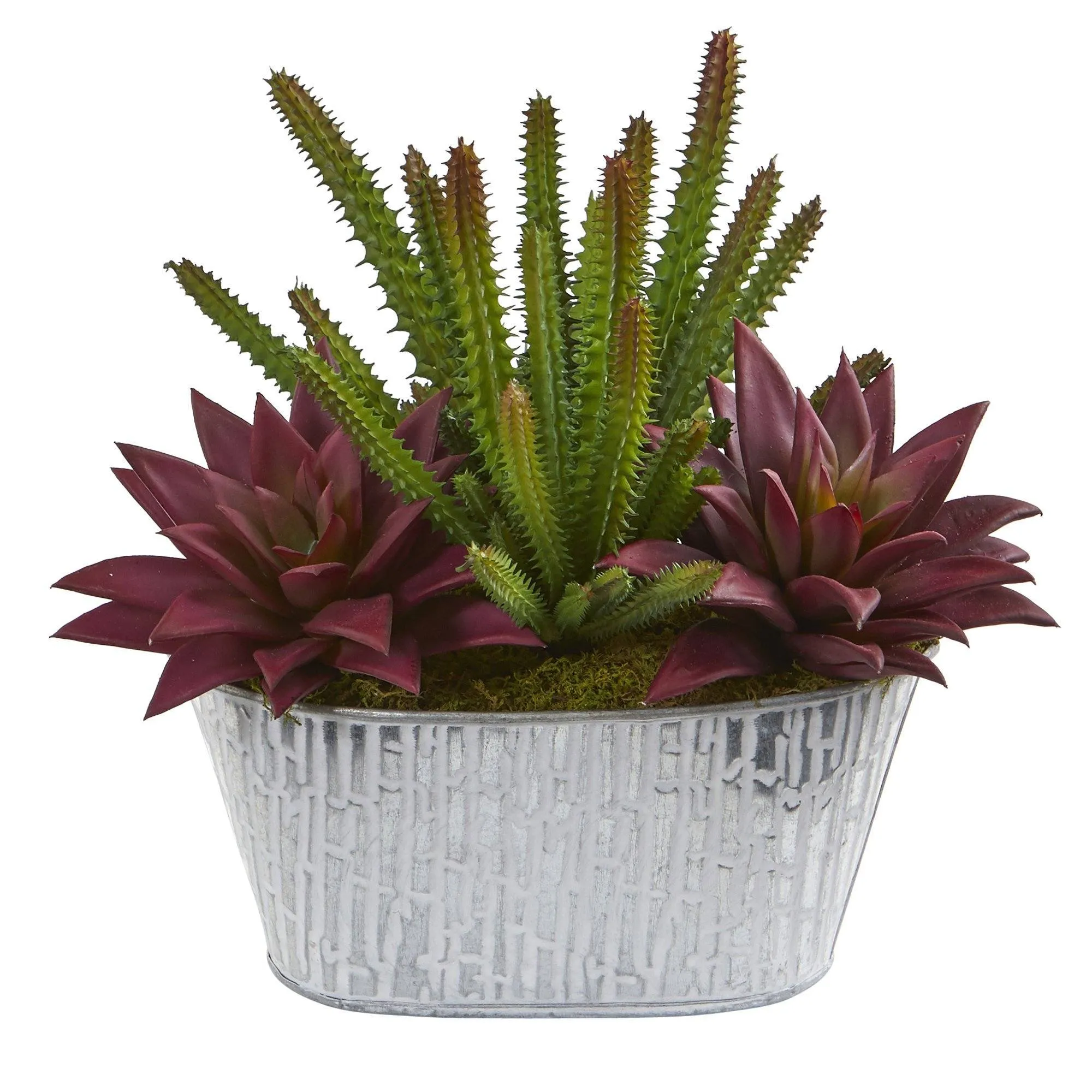 11” Cactus Succulent Artificial Plant in White Tin Planter