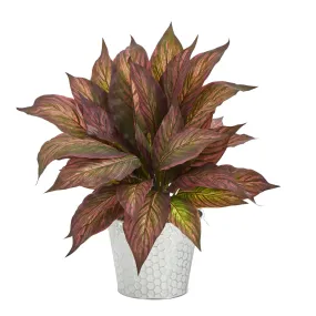 15” Musa Leaf Artificial Plant in Embossed White Planter