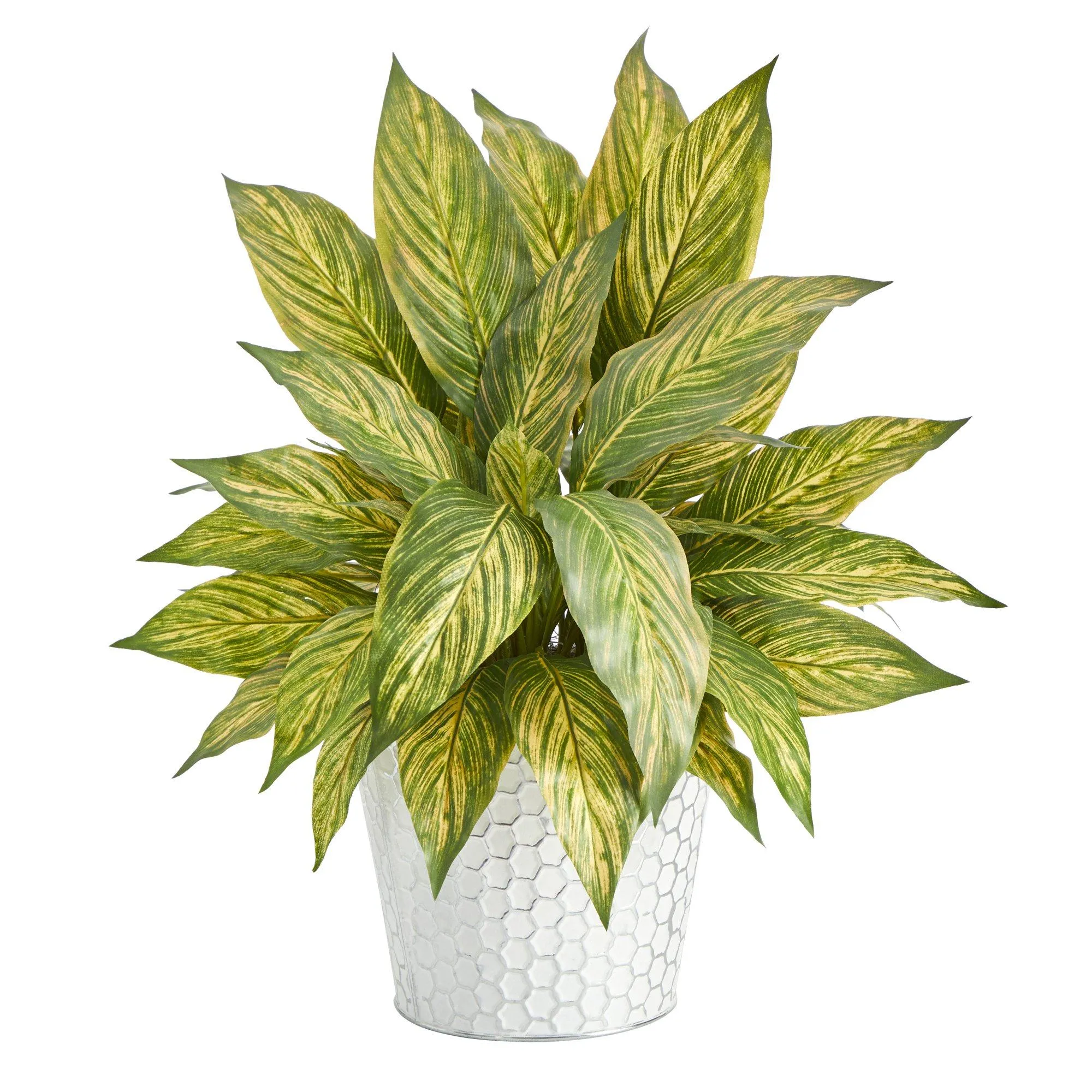 15” Musa Leaf Artificial Plant in Embossed White Planter