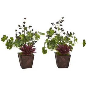 15” Succulent, Clover and Coffee Leaf Artificial Plant in Decorative Planter (Set of 2)