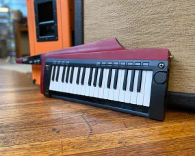 Korg RK-100S 2 Remote Keyboard