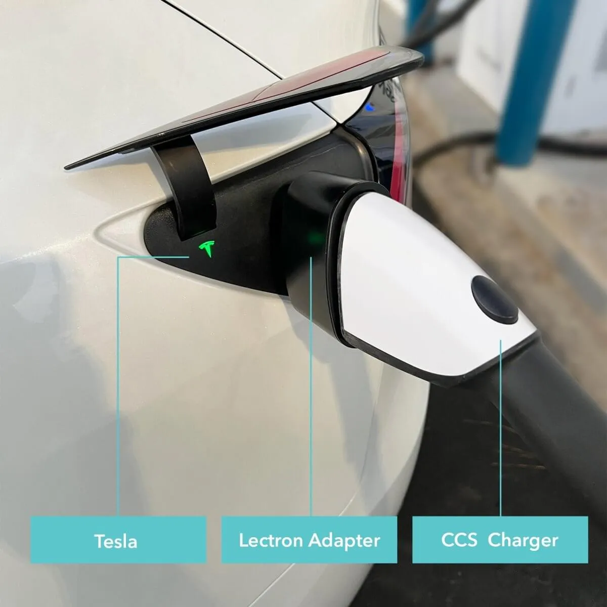 Lectron Portable Level 1 Tesla EV Charger   300 Amp CCS to Tesla EV Charger Adapter Bundle | 110V | 15 Amp | NEMA 5-15