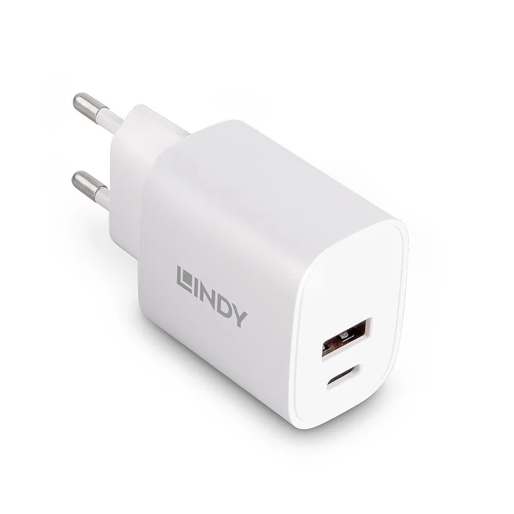 Lindy Power Adapter Usb Type A & C - 20 Watt