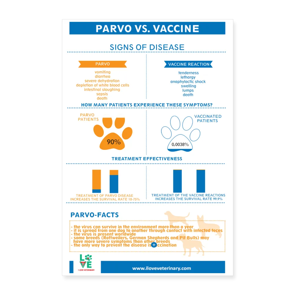 Parvo vs. Vaccine Poster 8x12