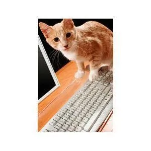 PET GUARD Transparent Viziflex Acrylic Keyboard Cover