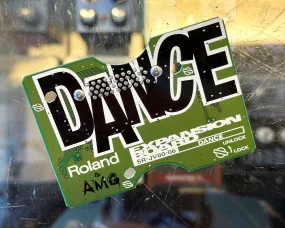 Roland SR-JV80-06 Dance Expansion Card