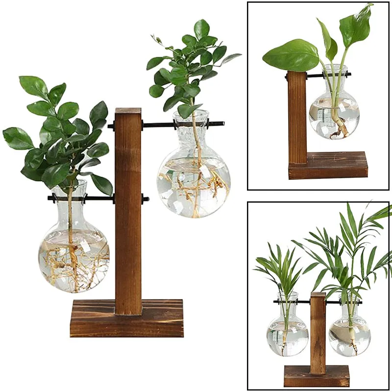 Terrarium Hydroponic Vintage Tabletop Vase