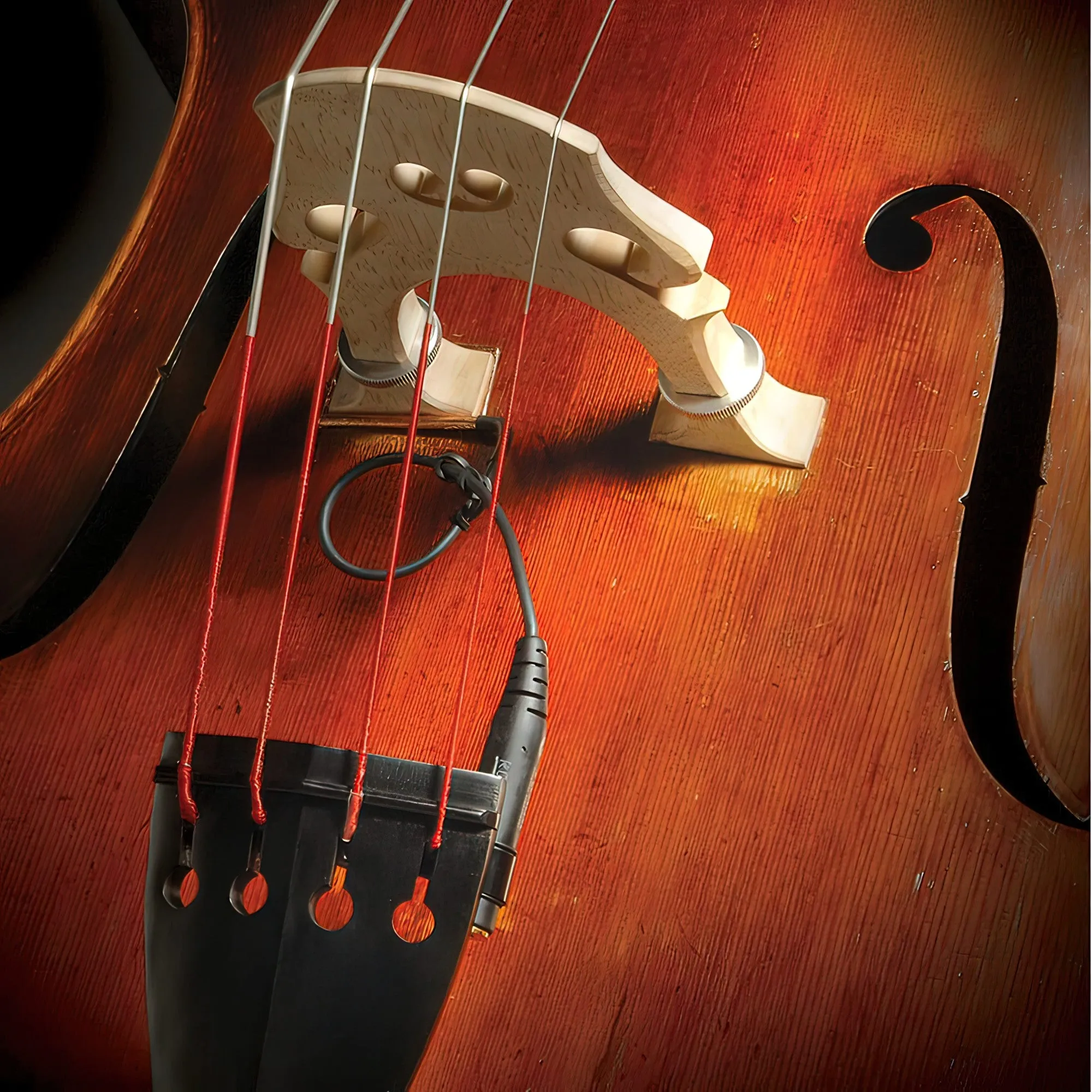 The Realist Lifeline Piezo Pickup for Double Bass